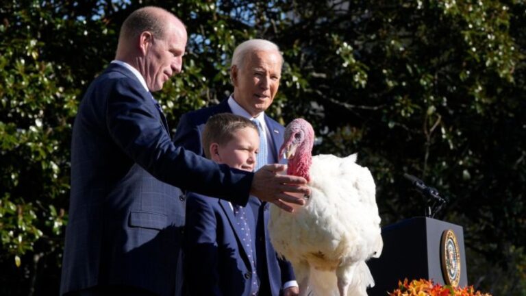 ¿Qué es el «indulto» o «perdón al pavo» del Día de Acción de Gracias?
